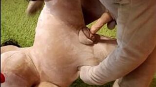 Пухлую секс-куклу трахают во все дырки и между ее сисек - порно видео