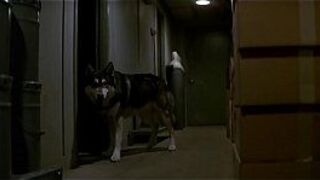 грудастая мачеха ебется с ассимилированным сыном пока Курта Рассела нет - порно видео