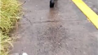 Кюлот на улице - порно видео