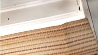 Эшли и Джон лучше всех трахаются. Большие половые губы - порно видео